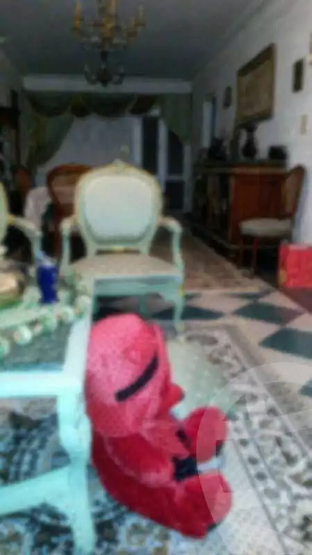 https://aqarmap.com.eg/en/listing/5812809-for-sale-alexandria-l-jmy-lbytsh-khalil-ballw-st