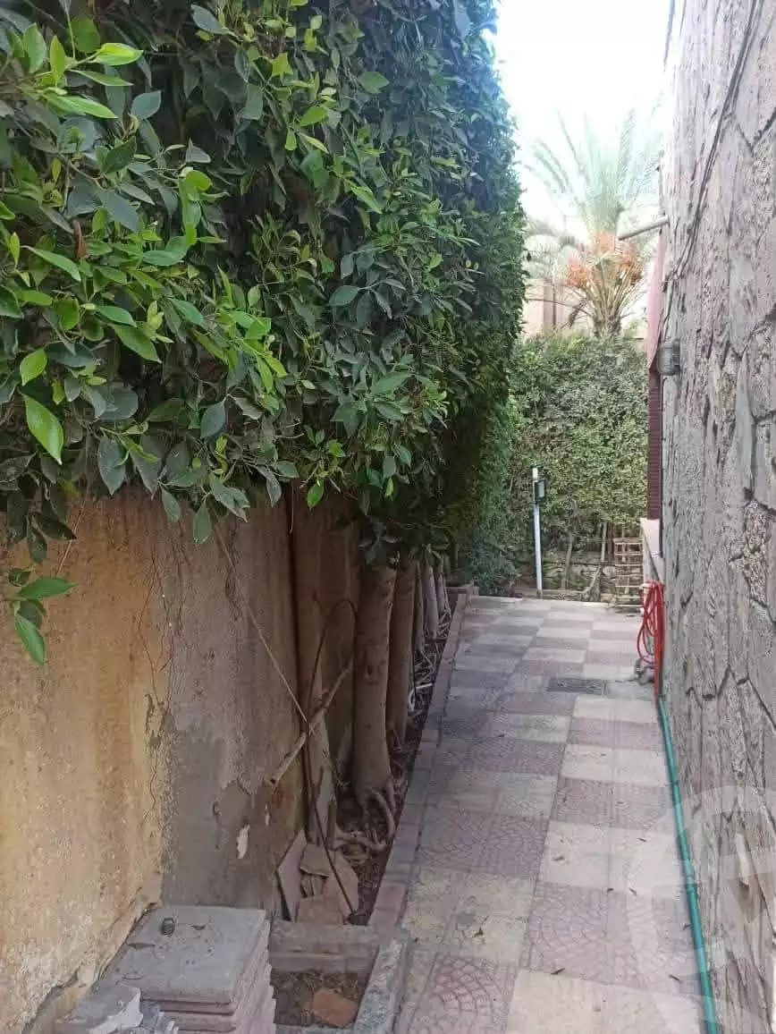 https://aqarmap.com.eg/en/listing/5822208-for-sale-alexandria-l-jmy-lbytsh-el-batal-ahmed-abd-el-aziz-belbis-st