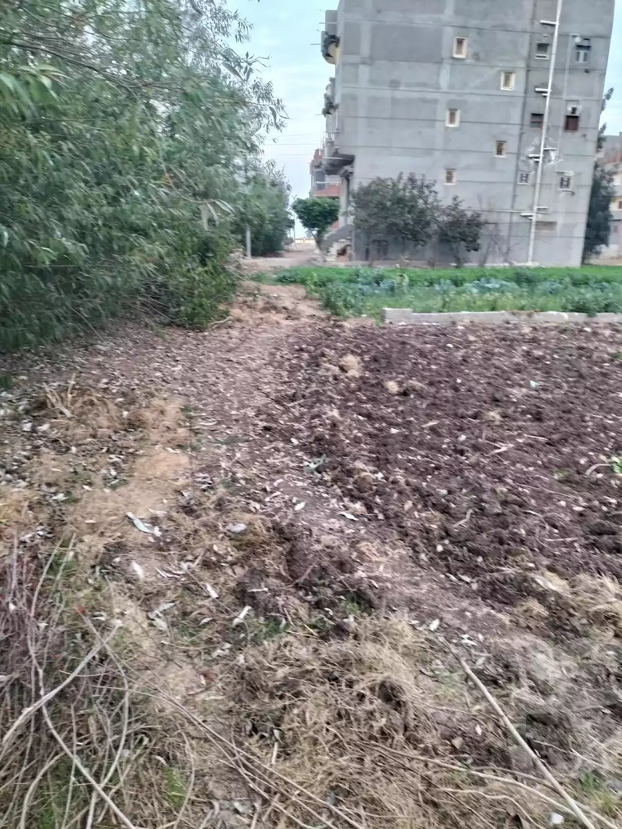 https://aqarmap.com.eg/ar/listing/5824118-for-sale-beheira-damanhour-damanhour-city-al-kornish-st