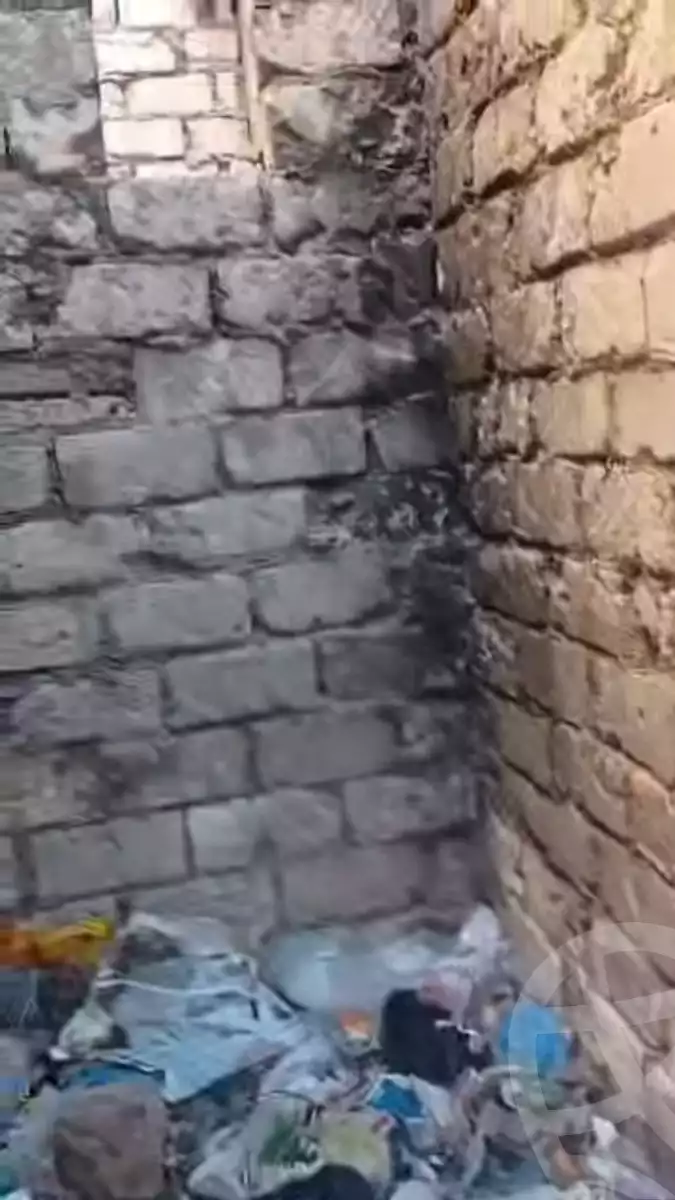 https://aqarmap.com.eg/en/listing/5830171-for-sale-alexandria-l-jmy-el-hanouvel-al-haded-we-al-soulb-st