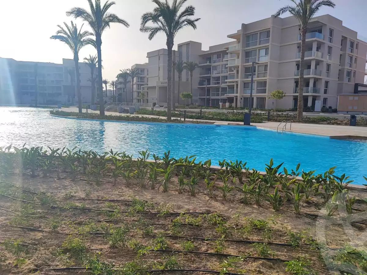 https://aqarmap.com.eg/ar/listing/5832197-for-rent-north-coast-resorts-mrsy-marina-views-marassi