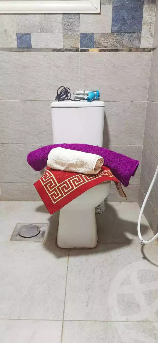 https://aqarmap.com.eg/en/listing/5835499-for-rent-cairo-manial