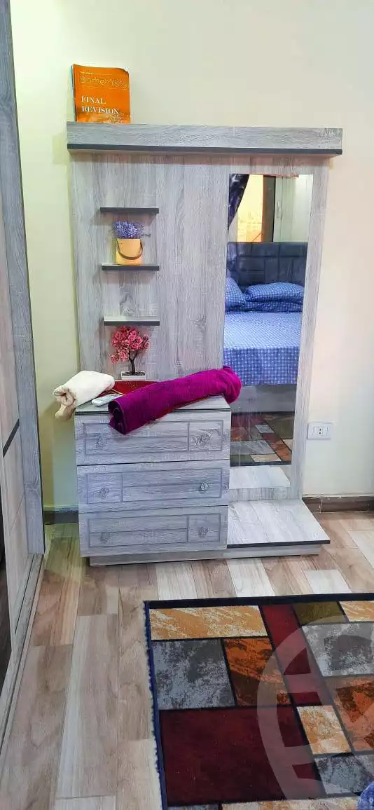 https://aqarmap.com.eg/en/listing/5835499-for-rent-cairo-manial