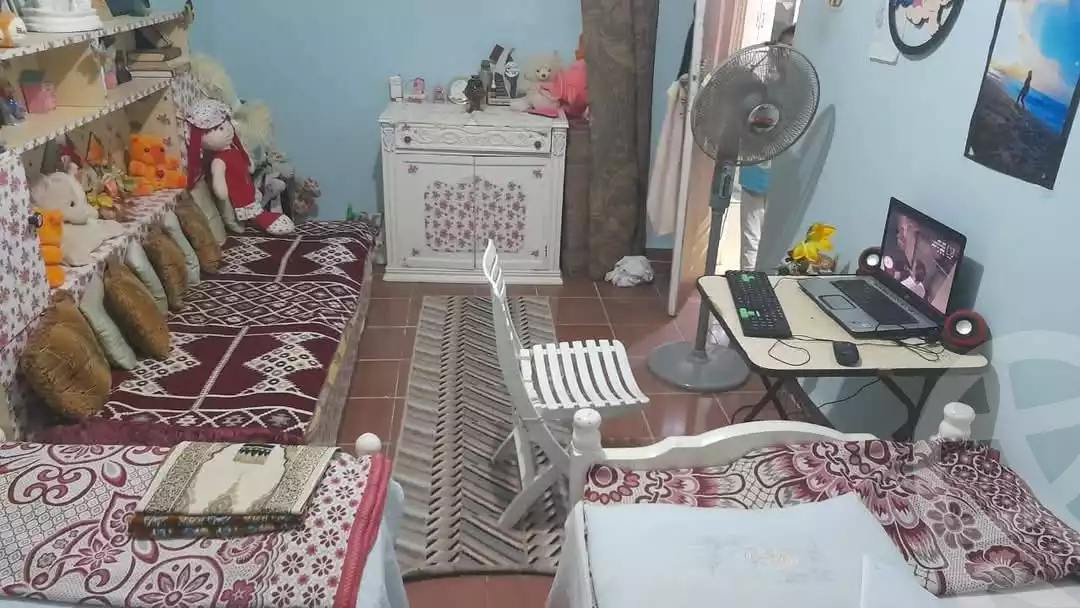 https://aqarmap.com.eg/en/listing/5837435-for-sale-alexandria-l-jmy-bw-ywsf