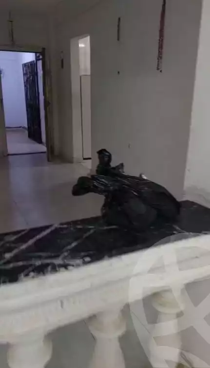 https://aqarmap.com.eg/en/listing/5837652-for-sale-alexandria-l-jmy-lbytsh-shahr-al-assal-st