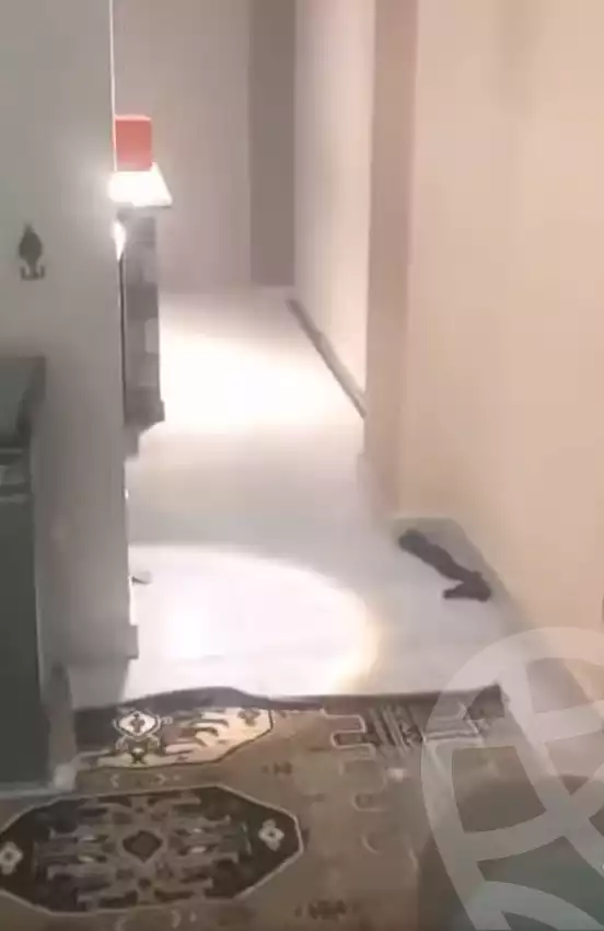 https://aqarmap.com.eg/en/listing/5838112-for-rent-cairo-el-maadi-el-maadi-el-gededa
