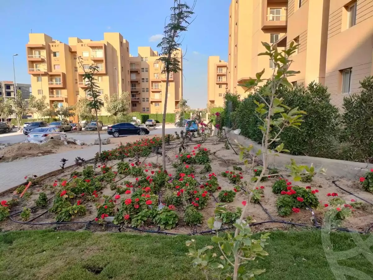https://aqarmap.com.eg/en/listing/5838368-for-sale-cairo-6th-of-october-hadaeq-october-kmbwnd-fy-hdyq-ktwbr-ashgar-city