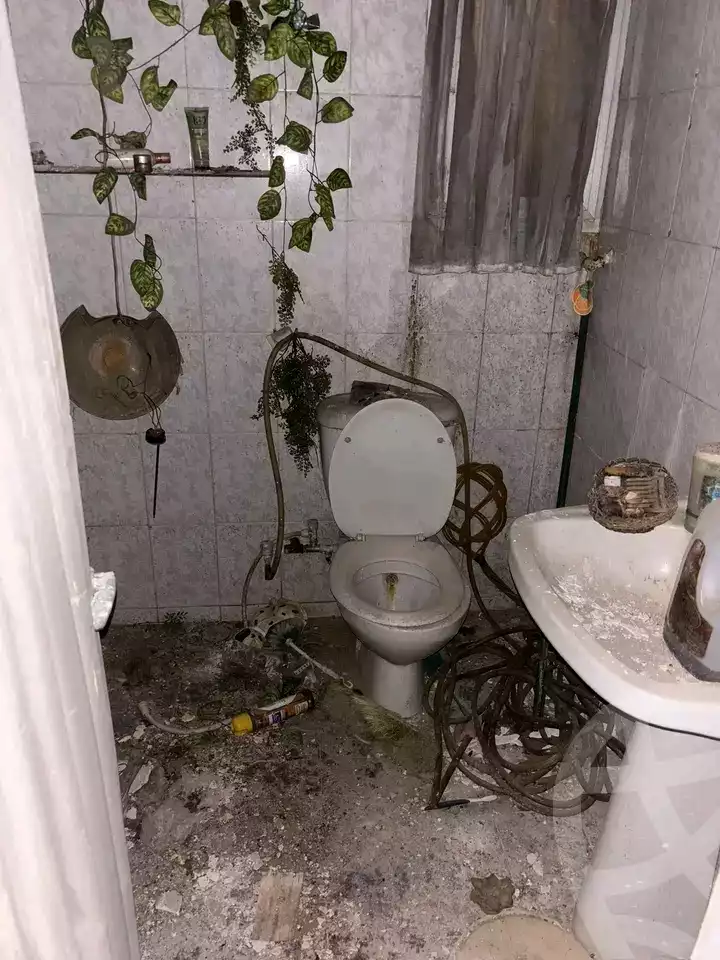https://aqarmap.com.eg/en/listing/5840622-for-rent-cairo-heliopolis