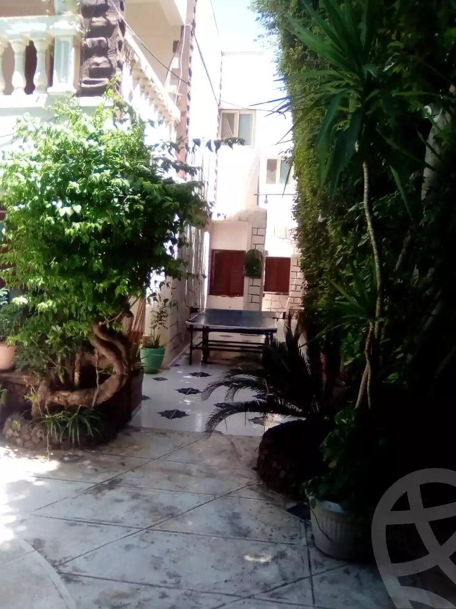 https://aqarmap.com.eg/en/listing/5841516-for-sale-alexandria-l-jmy-lbytsh-bianchiii