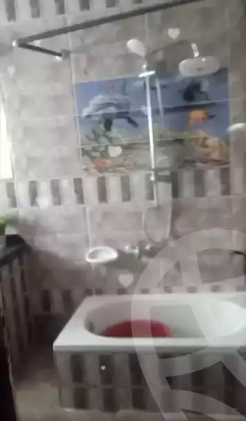 https://aqarmap.com.eg/ar/listing/5843478-for-sale-alexandria-miami-khld-bn-lwlyd