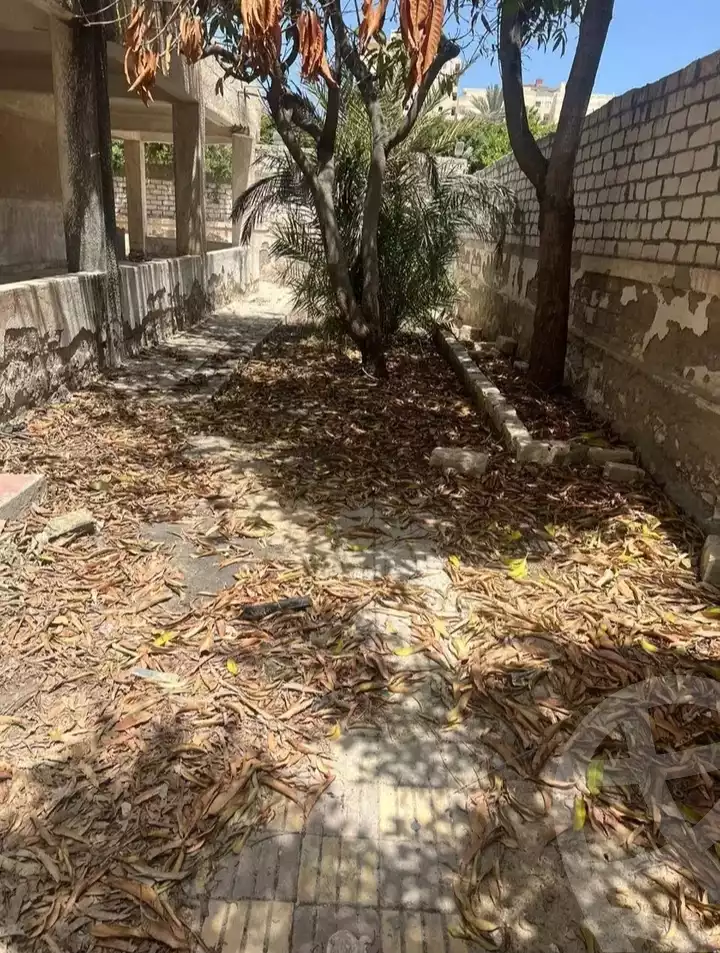 https://aqarmap.com.eg/en/listing/5846024-for-sale-alexandria-l-jmy-bw-ywsf