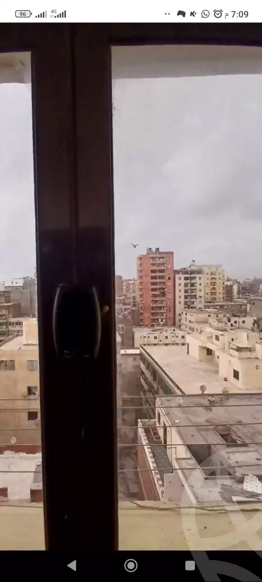 https://aqarmap.com.eg/en/listing/5846446-for-sale-alexandria-l-jmy-lbytsh-bianchiii