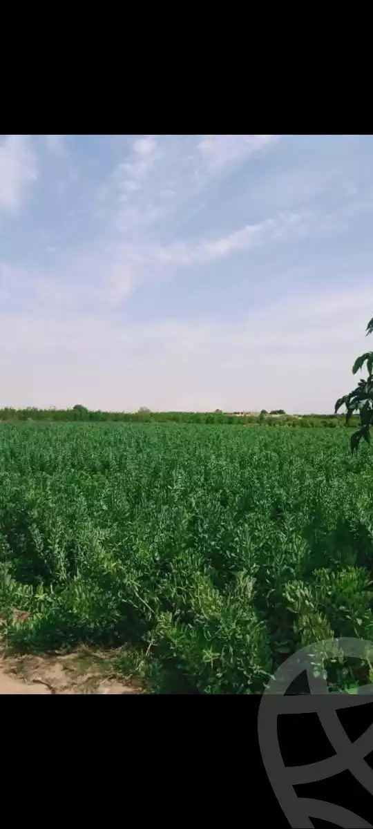 https://aqarmap.com.eg/en/listing/5847366-for-sale-ismailia-ismailia-city