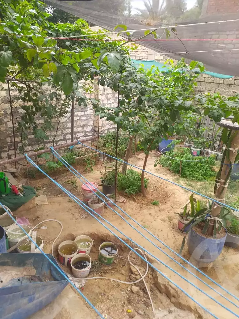 https://aqarmap.com.eg/en/listing/5847674-for-sale-alexandria-abu-talat