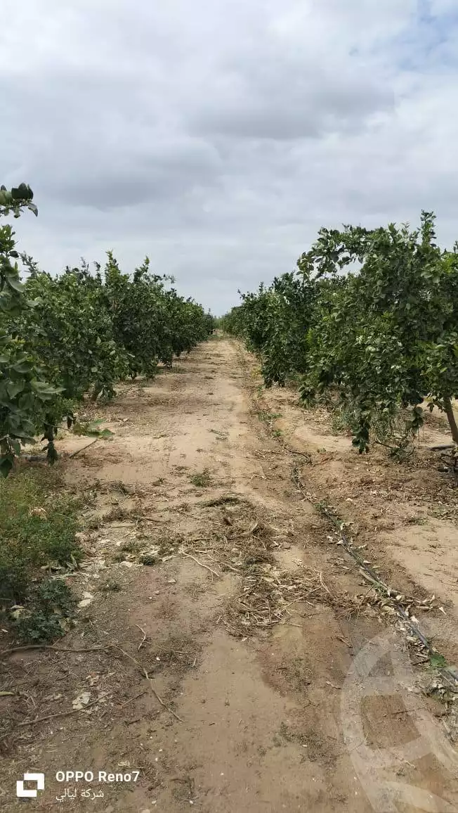 https://aqarmap.com.eg/en/listing/5849274-for-sale-alexandria-cairo-alexandria-desert-road