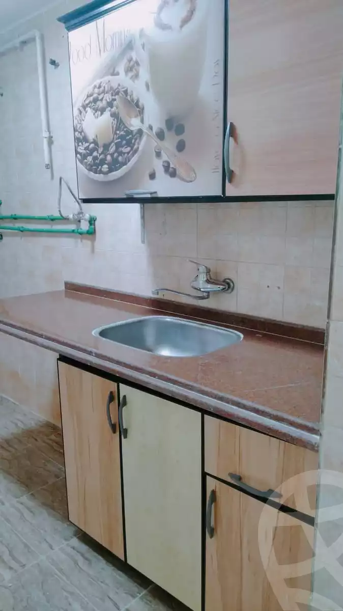 https://aqarmap.com.eg/ar/listing/5852696-for-sale-alexandria-l-jmy-lbytsh-al-aeda-al-kadema-st