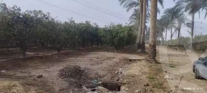 https://aqarmap.com.eg/en/listing/5858151-for-sale-beheira-wadi-el-natrun