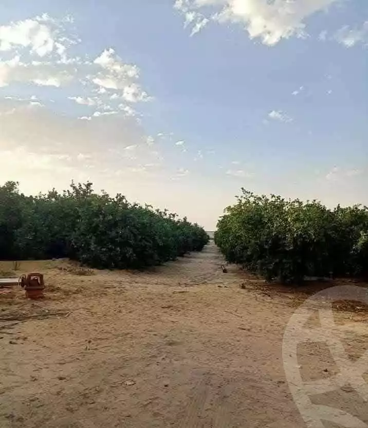 https://aqarmap.com.eg/en/listing/5858151-for-sale-beheira-wadi-el-natrun