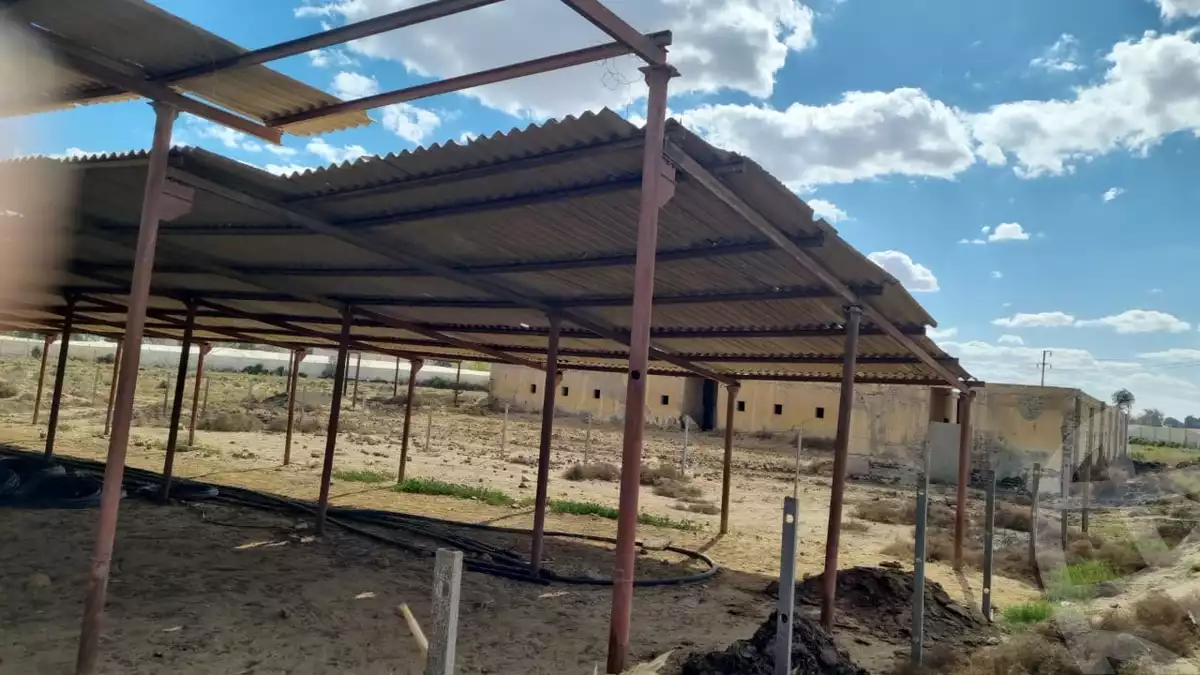 https://aqarmap.com.eg/en/listing/5855933-for-sale-beni-suef-el-fashn-el-fashn-city
