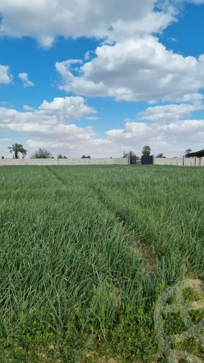 https://aqarmap.com.eg/en/listing/5855933-for-sale-beni-suef-el-fashn-el-fashn-city