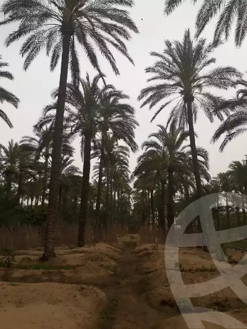 https://aqarmap.com.eg/en/listing/5859332-for-sale-beheira-edku-edku-city