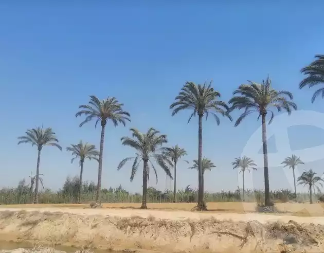 https://aqarmap.com.eg/en/listing/5859525-for-sale-alexandria-el-amreya-margham