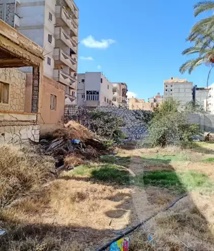 https://aqarmap.com.eg/en/listing/5862024-for-sale-alexandria-l-jmy-el-hanouvel