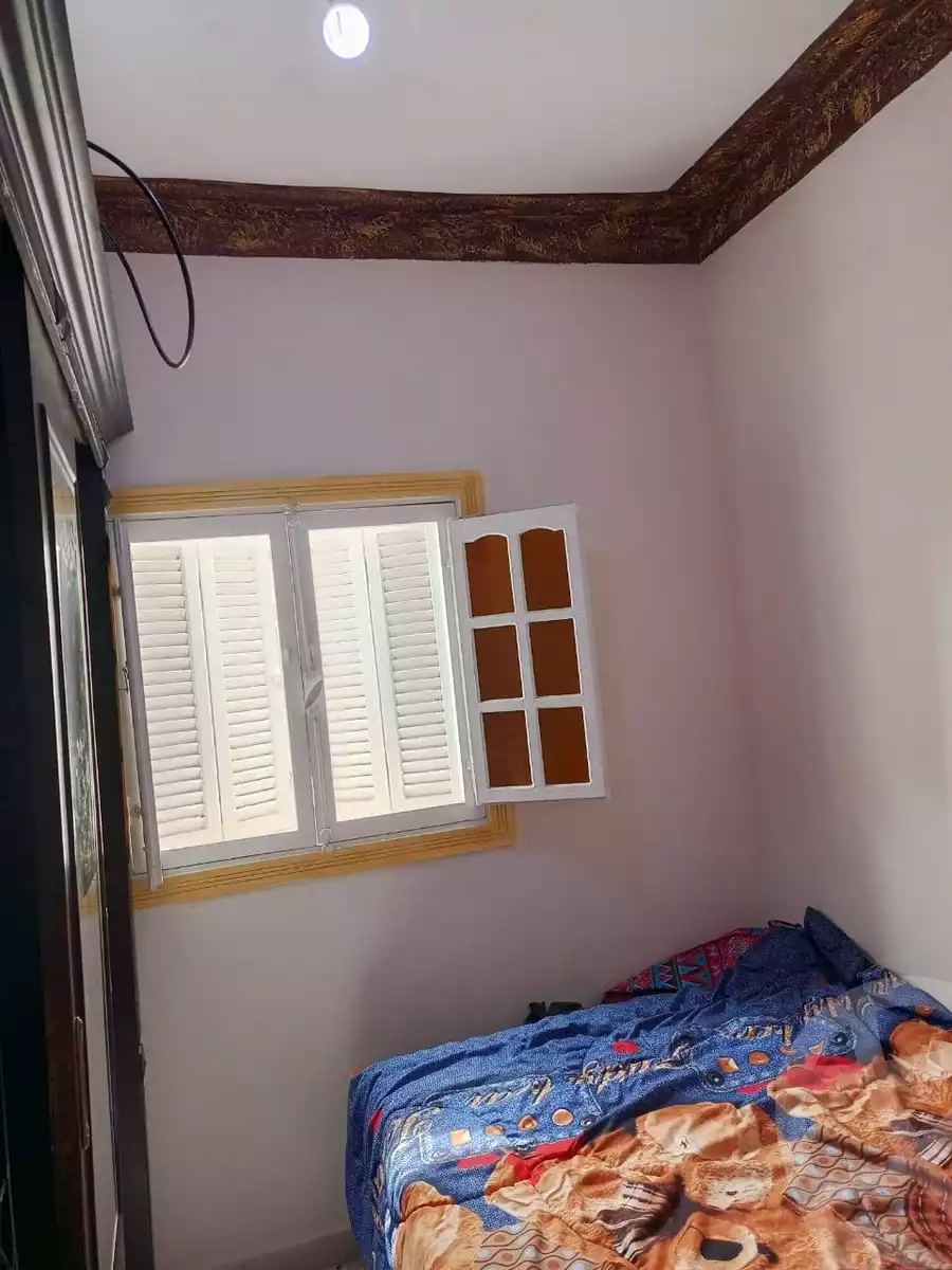 https://aqarmap.com.eg/en/listing/5865350-for-sale-alexandria-bahray-el-anfoshy