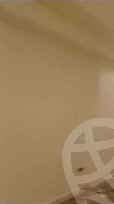 https://aqarmap.com.eg/en/listing/5868614-for-rent-cairo-el-mohandesen-shareaa-shehab