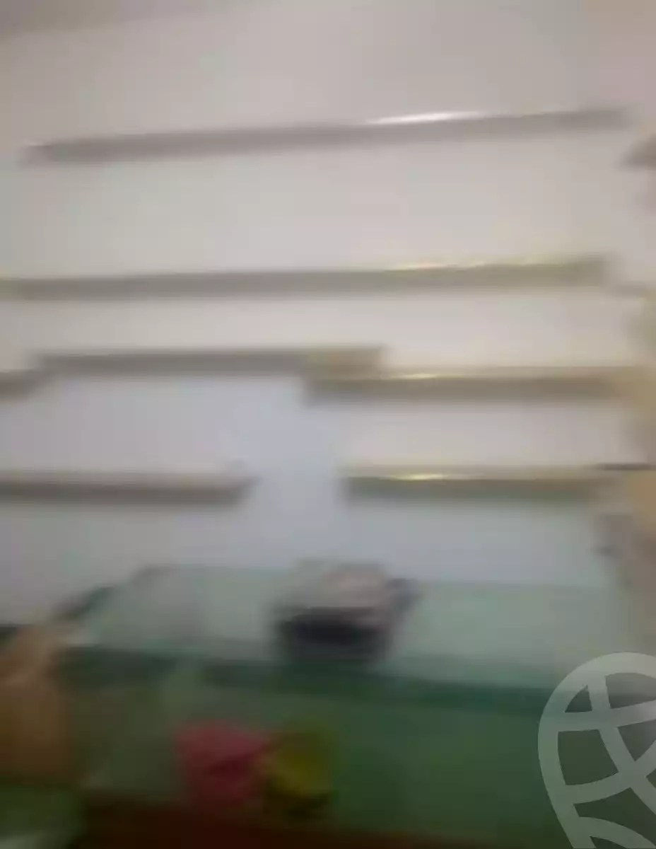 https://aqarmap.com.eg/en/listing/5875199-for-rent-cairo-faisal-el-maryotyah