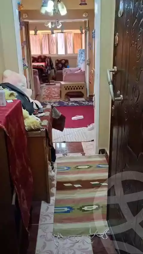 https://aqarmap.com.eg/ar/listing/5875499-for-sale-alexandria-l-jmy-lbytsh-street-8