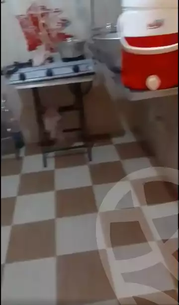 https://aqarmap.com.eg/en/listing/5875955-for-rent-cairo-ain-shams-ain-shams-el-sharkia-el-fairouz-st