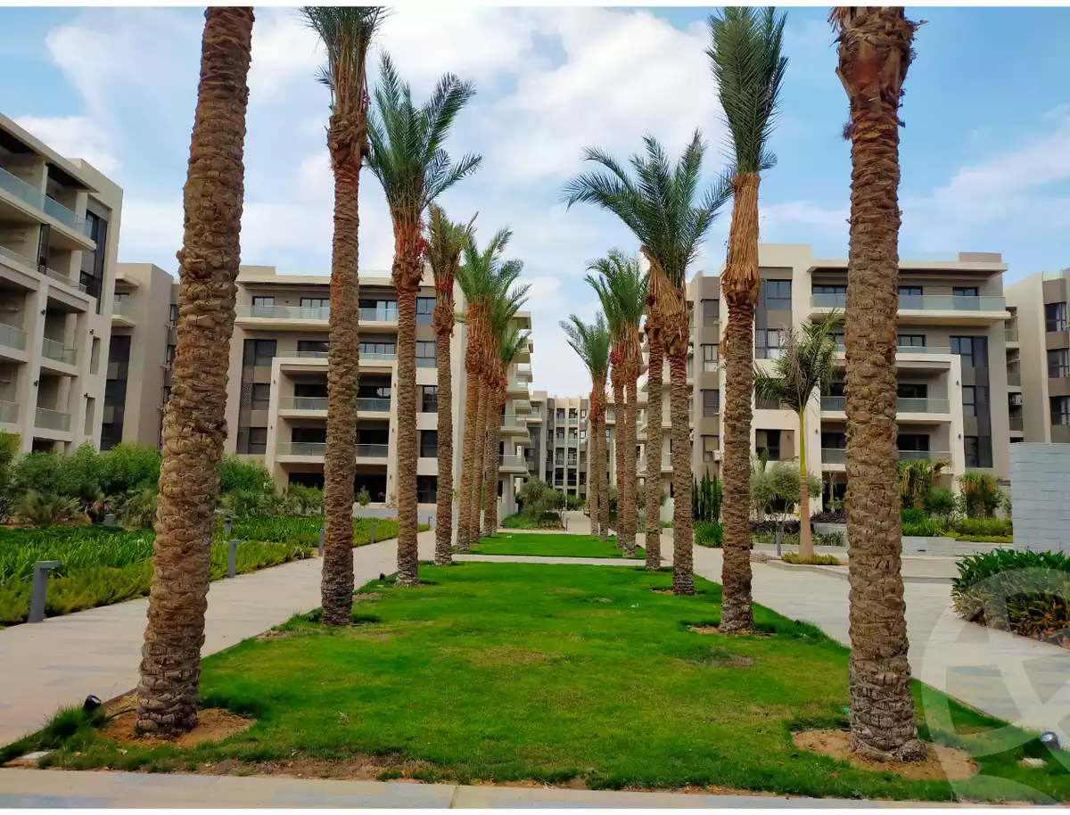 https://aqarmap.com.eg/en/listing/5882045-for-rent-cairo-new-cairo-compounds-the-address-east