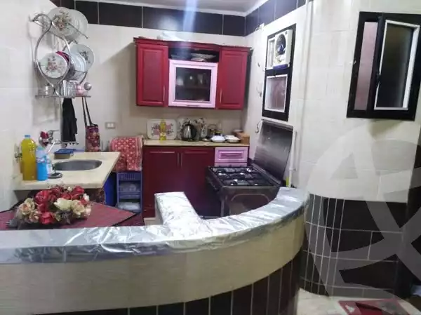 https://aqarmap.com.eg/en/listing/5886322-for-rent-qalyubia-shubra-el-khaima