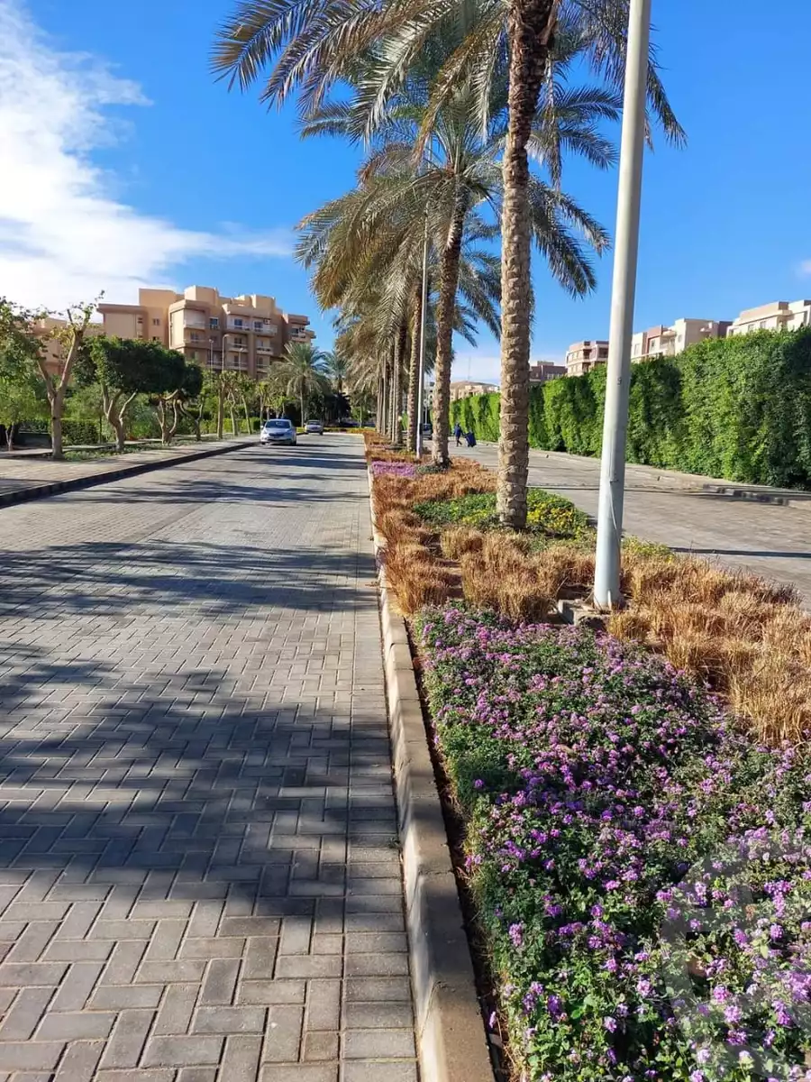 https://aqarmap.com.eg/en/listing/5888300-for-sale-cairo-6th-of-october-hadaeq-october-kmbwnd-fy-hdyq-ktwbr-shjr-ryzydns-y-jy-y-llttwyr