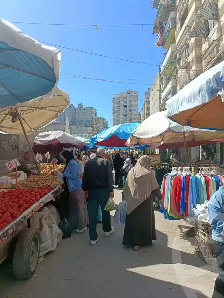 https://aqarmap.com.eg/en/listing/5890931-for-sale-alexandria-el-asafra