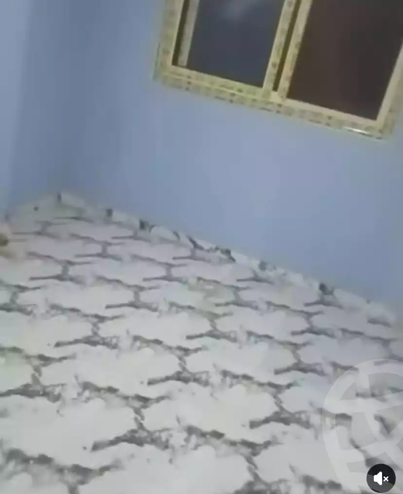 https://aqarmap.com.eg/en/listing/5891411-for-sale-cairo-faisal-kafr-tohormos-el-shaheed-ahmed-hamdy-st