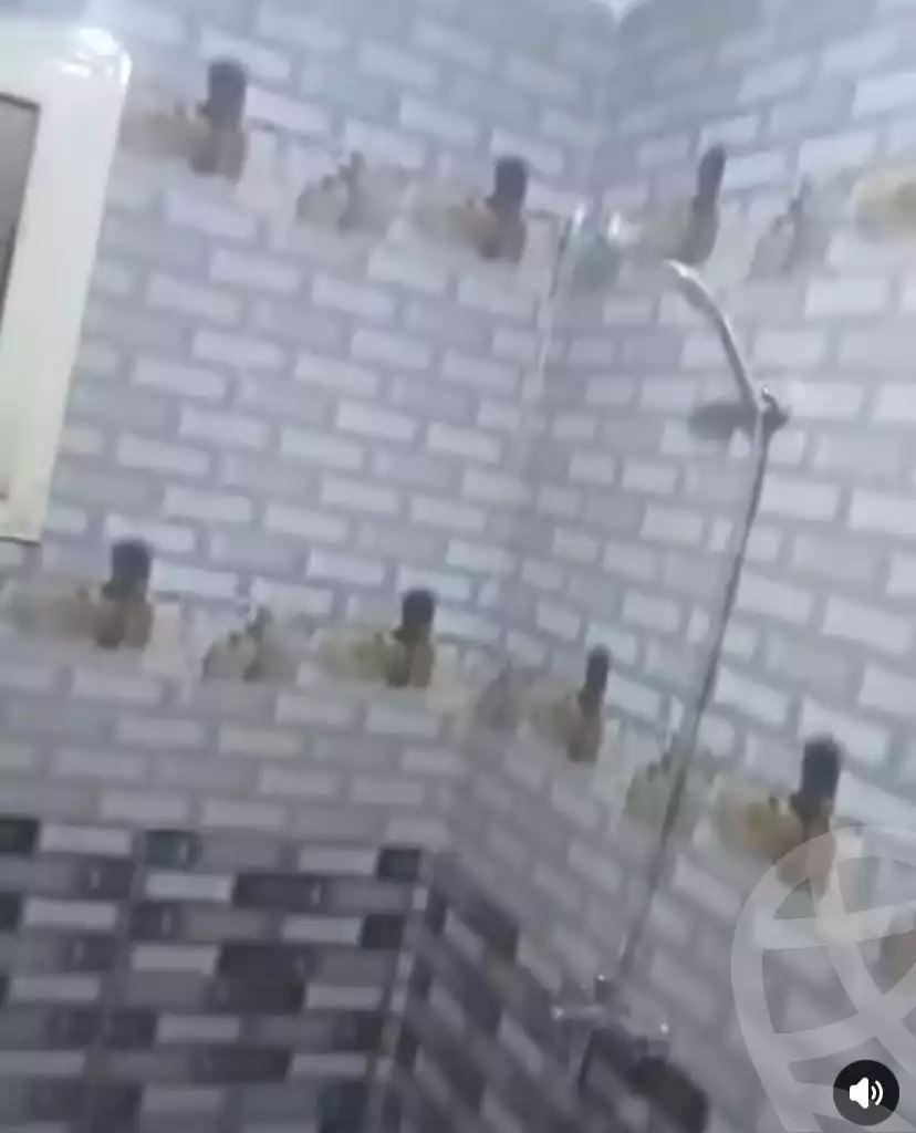 https://aqarmap.com.eg/en/listing/5891411-for-sale-cairo-faisal-kafr-tohormos-el-shaheed-ahmed-hamdy-st