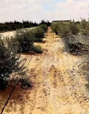 https://aqarmap.com.eg/en/listing/5891729-for-sale-beheira-wadi-el-natrun