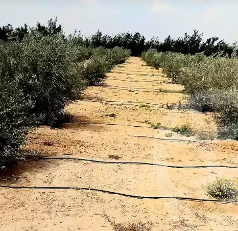 https://aqarmap.com.eg/en/listing/5891729-for-sale-beheira-wadi-el-natrun