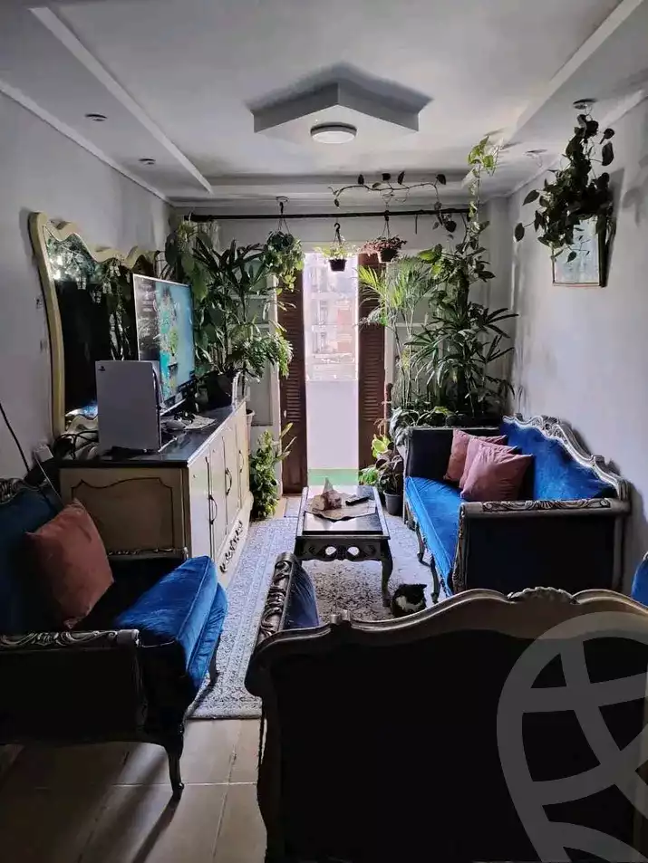 https://aqarmap.com.eg/en/listing/5896716-for-sale-alexandria-sydy-bshr-sydy-bshr-qbly-shr-ql-bsh