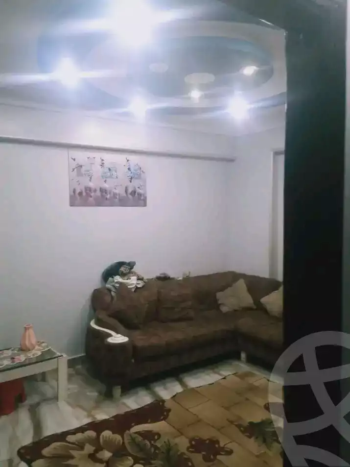 https://aqarmap.com.eg/ar/listing/5897317-for-sale-alexandria-l-jmy-lbytsh-el-hanafeya-st
