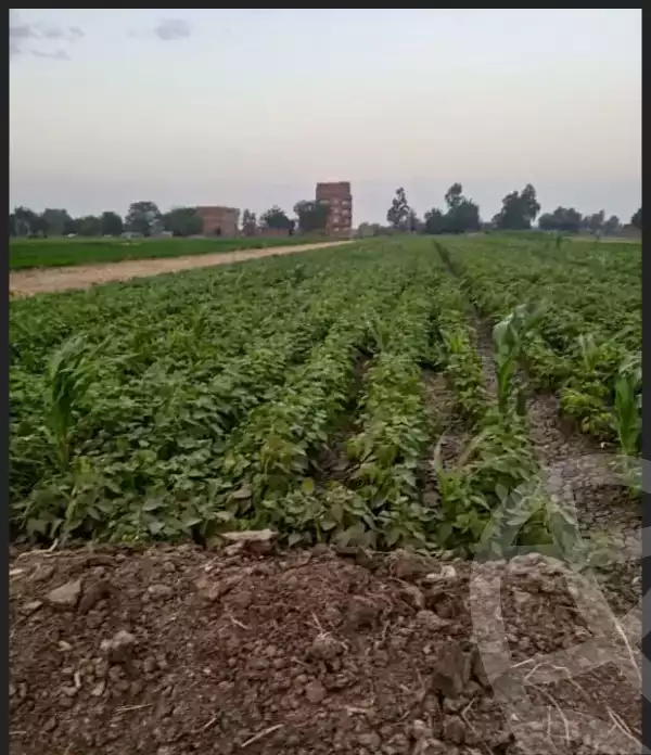 https://aqarmap.com.eg/en/listing/5898305-for-sale-monufia-shibin-el-kom-el-batanon
