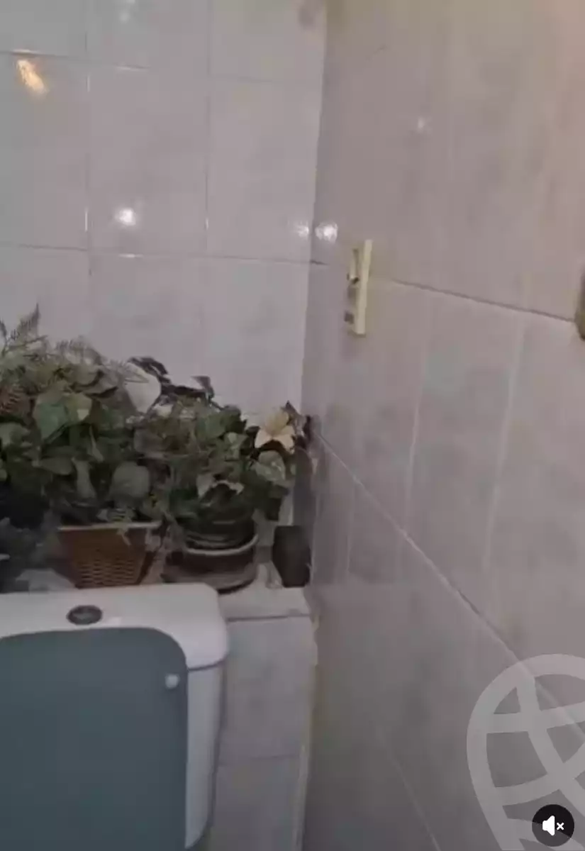 https://aqarmap.com.eg/en/listing/5901276-for-rent-cairo-heliopolis-triumph-square-nakhla-al-motieai-st