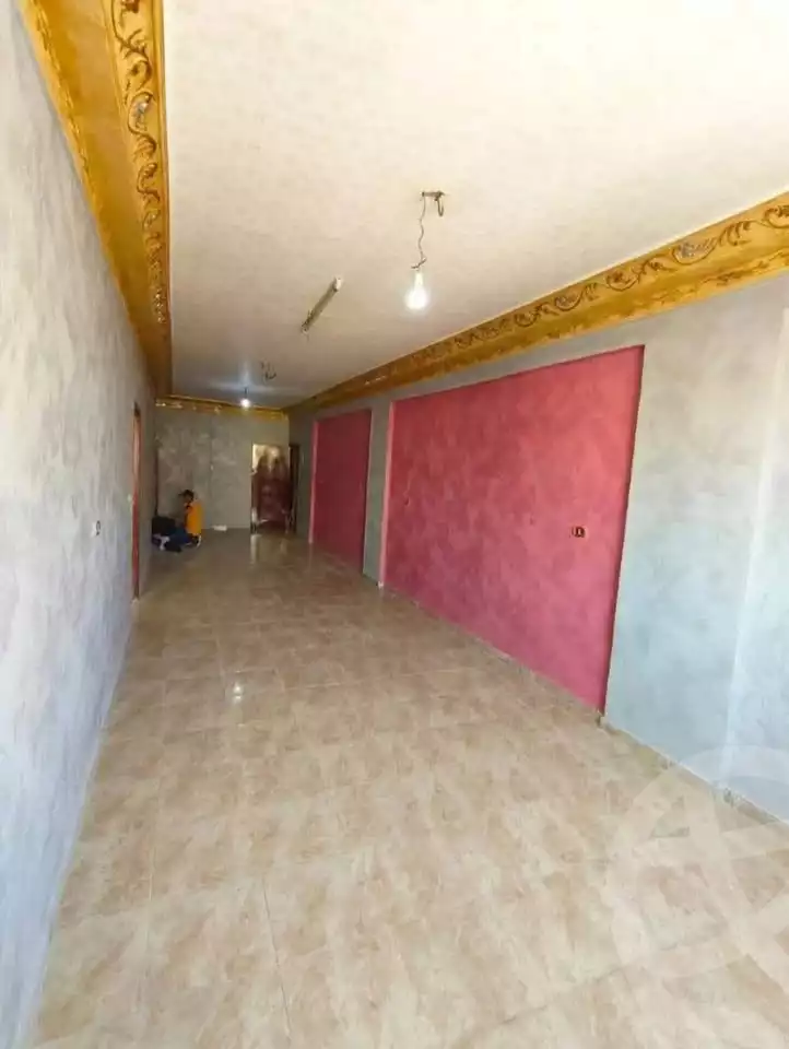 https://aqarmap.com.eg/en/listing/5902400-for-rent-qalyubia-shubra-el-khaima