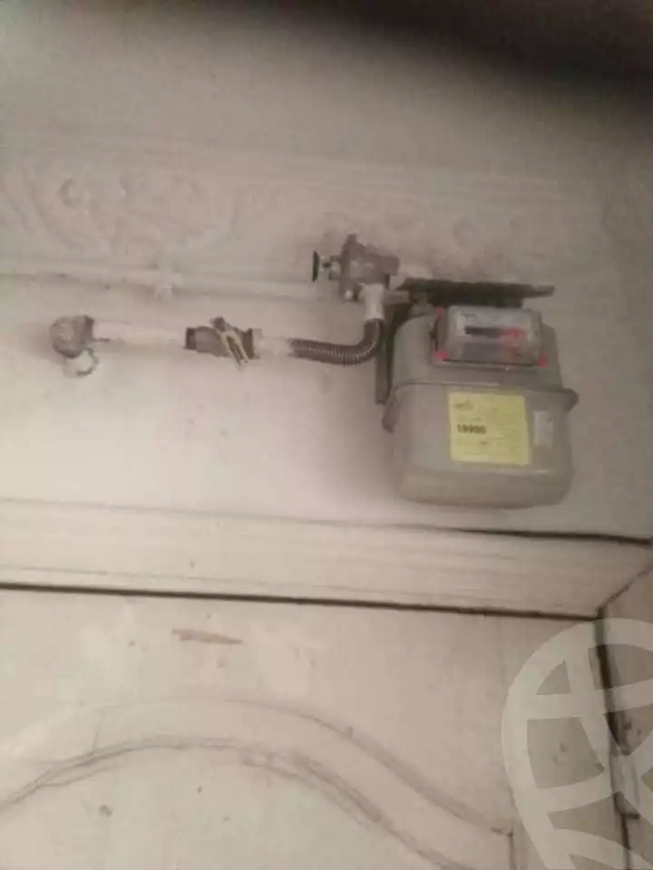 https://aqarmap.com.eg/en/listing/5904257-for-sale-alexandria-l-jmy-lbytsh-princess-st