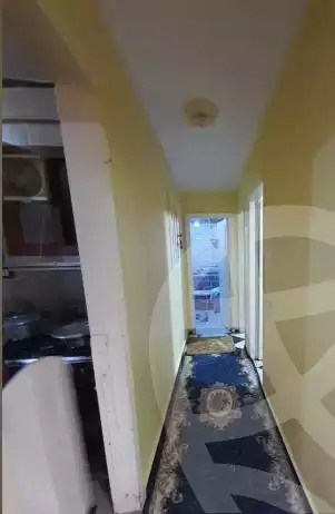 https://aqarmap.com.eg/en/listing/5905168-for-sale-alexandria-l-jmy-lbytsh-al-kaada-st