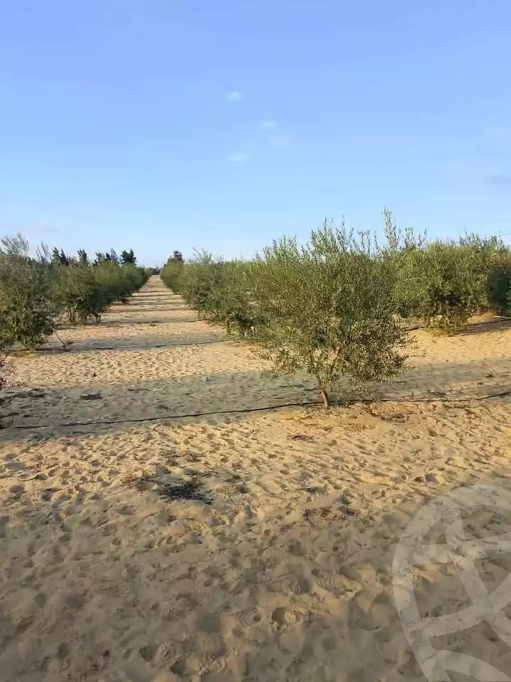 https://aqarmap.com.eg/ar/listing/5905760-for-sale-ismailia-ismailia-city