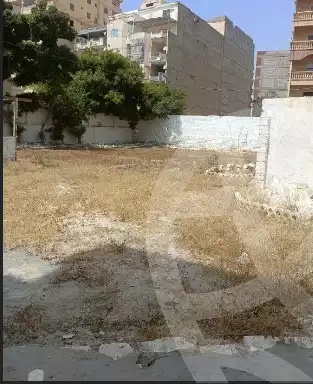https://aqarmap.com.eg/en/listing/5911251-for-sale-alexandria-l-jmy-el-hanouvel