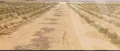 https://aqarmap.com.eg/en/listing/5912527-for-sale-gharbia-tanta-tanta-city-taha-el-hakeem-st